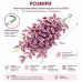Штучна рослина Hobby Climber Purpurea 70 см (37726) для тераріуму, акватераріуму та палюдаріуму