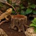 Декорація Hobby Wildwood Stump 15×14,5×9 см - декоративний пень, поїлка, горщик для тераріуму (40849)