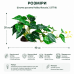 Штучна рослина Hobby Alocasia 2 40 × 20 см (37718) для тераріуму, акватераріуму та палюдаріуму