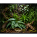 Штучна рослина Hobby Calathea 1 24×14 см (37714) для тераріуму, акватераріуму та палюдаріуму