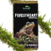 Натуральний мох торф’яний Terrario ForestHeart Sphagnum Moss 100г для тераріумів та орхідей
