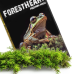 Натуральний мох торф’яний Terrario ForestHeart Sphagnum Moss 100г для тераріумів та орхідей