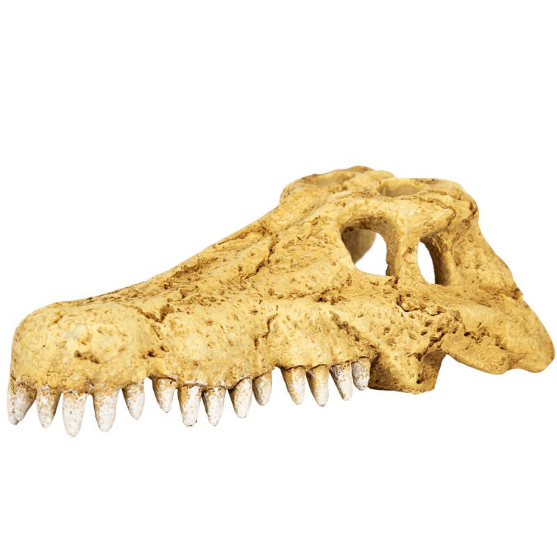 Крокодилячий череп Repti-Zoo Crocodile Skull M ERS34M 18×10×5,5 см - декоративне укриття для тераріуму та акваріуму
