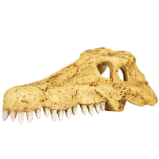 Крокодилячий череп Repti-Zoo Crocodile Skull M ERS34S 11x6x4 см - декоративне укриття для тераріуму та акваріуму