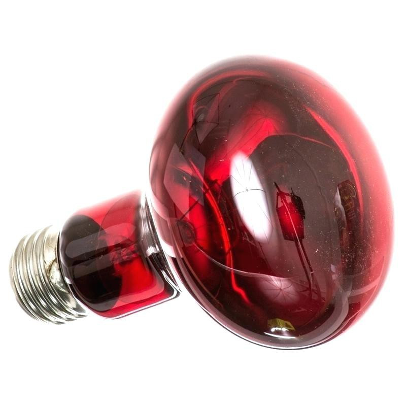 Інфрачервона нагрівальна лампа Repti-Zoo Infrared Heat 50W (R63050)