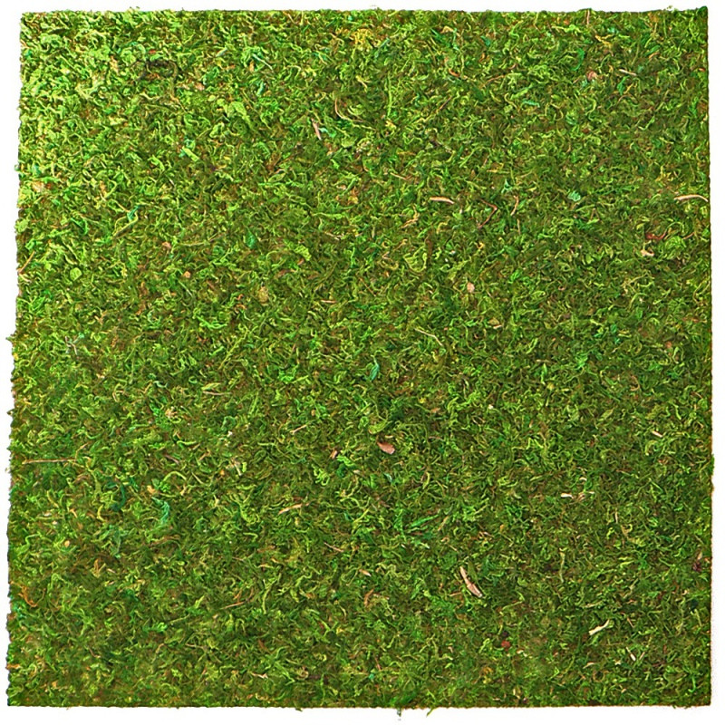 Фон з натурального моху Repti-Zoo Natural Moss Back & Bottom 20×20см 2 шт (NCM2020) для тераріуму