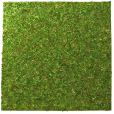 Фон з натурального моху Repti-Zoo Natural Moss Back & Bottom 45x45см 2 шт (NCM4545) для тераріуму