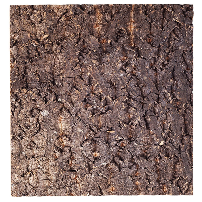 Фон з кори Repti-Zoo Big Tree Background 30х30 см (NCT10) для тераріуму