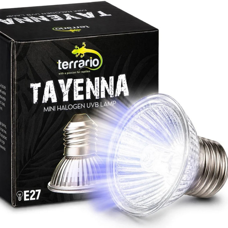 Лампа для тераріуму Terrario Tayenna 25W UVB 3.0 E27 для тропічних рептилій та амфібій