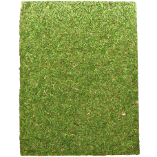 Фон з натурального моху Repti-Zoo Natural Moss Back & Bottom 50x25см 2 шт (NCM5025) для тераріуму