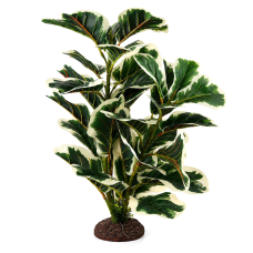 Штучна рослина Hobby Ficus Elastica 2 55 см (37706) для тераріуму, акватераріуму та палюдаріуму