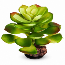 Штучна рослина Hobby Terra Succulent 4 17 см (37733) для тераріуму, акватераріуму та палюдаріуму