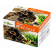 Тераріум з акрилу Repti-Zoo Mini ACR17 10,5×8,5×6,5 см для павуків, скорпіонів та комах