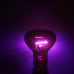 Нічна лампа з підігрівом Repti-Zoo Moonlight Heat 50W для рептилій та амфібій без UVA (D63050)