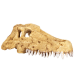 Крокодилячий череп Repti-Zoo Crocodile Skull M ERS34M 18×10×5,5 см - декоративне укриття для тераріуму та акваріуму
