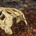 Крокодилячий череп Repti-Zoo Crocodile Skull M ERS34S 11x6x4 см - декоративне укриття для тераріуму та акваріуму
