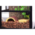 Тераріум Repti-Zoo 30×30×45 см зі скляними дверцятами, замком та водостійким дном (RK0102S)