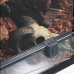 Тераріум Repti-Zoo 90x45x32см зі скляними дверцятами, замком та водостійким дном (RK0118)