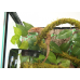 Ліана гнучка з натуральним мохом для тераріуму Repti-Zoo Artificial Moss Vine 1см x 2м (RV0210)