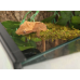 Ліана гнучка з натуральним мохом для тераріуму Repti-Zoo Artificial Moss Vine 1см x 2м (RV0210)