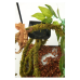 Ліана гнучка з натуральним мохом для тераріуму Repti-Zoo Artificial Moss Vine 1см x 2м (RV0210)