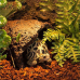 Субстрат соснова кора Repti‑Zoo Pine Bark 4 л (SB014) для сухих і напівсухих тераріумів