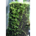 Тропічна бавовна Repti-Zoo Plant Cotton XL 59×44 см (YZM001) для моху і рослин у тераріум