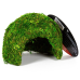 Схованка з моху Repti-Zoo Natural Mossy Dome S 11x10см ERS25S для тераріуму, рептилій і геконів, з живим мохом