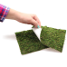 Фон з натурального моху Repti-Zoo Natural Moss Back & Bottom 20×20см 2 шт (NCM2020) для тераріуму