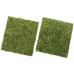 Фон з натурального моху Repti-Zoo Natural Moss Back & Bottom 20×20см 2 шт (NCM2020) для тераріуму