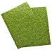 Фон з натурального моху Repti-Zoo Natural Moss Back & Bottom 20x30см 2 шт (NCM3020) для тераріуму
