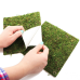 Фон з натурального моху Repti-Zoo Natural Moss Back & Bottom 20x30см 2 шт (NCM3020) для тераріуму
