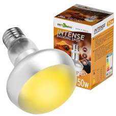 Лампа точкового нагріву Repti-Zoo Intense Basking Spot 50W (FCB50) з UVA для тераріумів